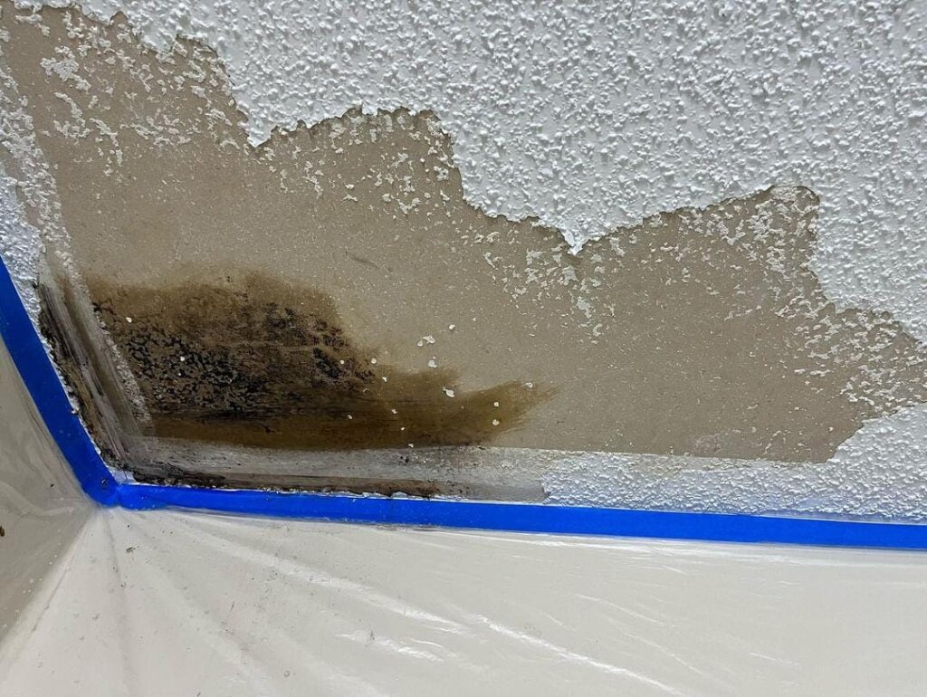 WhatsApp Image 2025-01-30 at 1.29.19 PM