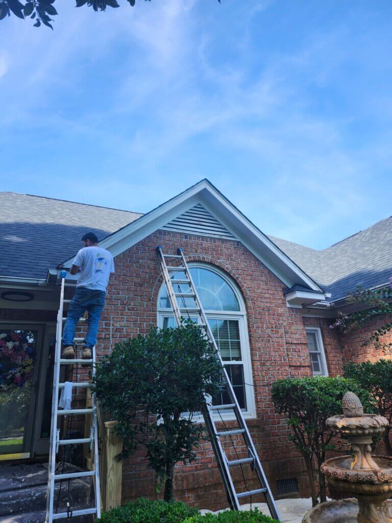 WhatsApp Image 2025-02-23 at 9.53.17 PM