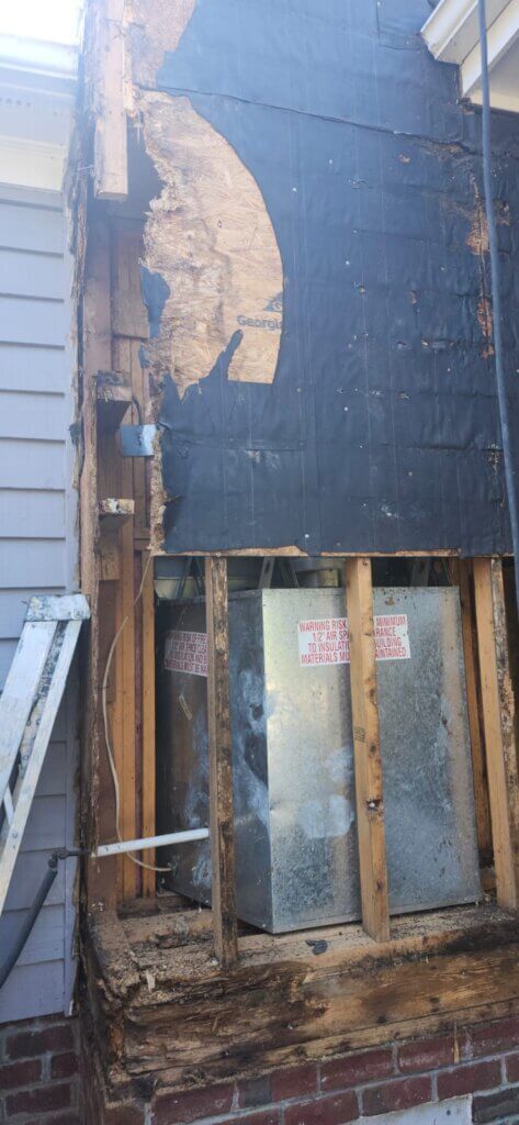 WhatsApp Image 2025-02-27 at 8.42.44 PM